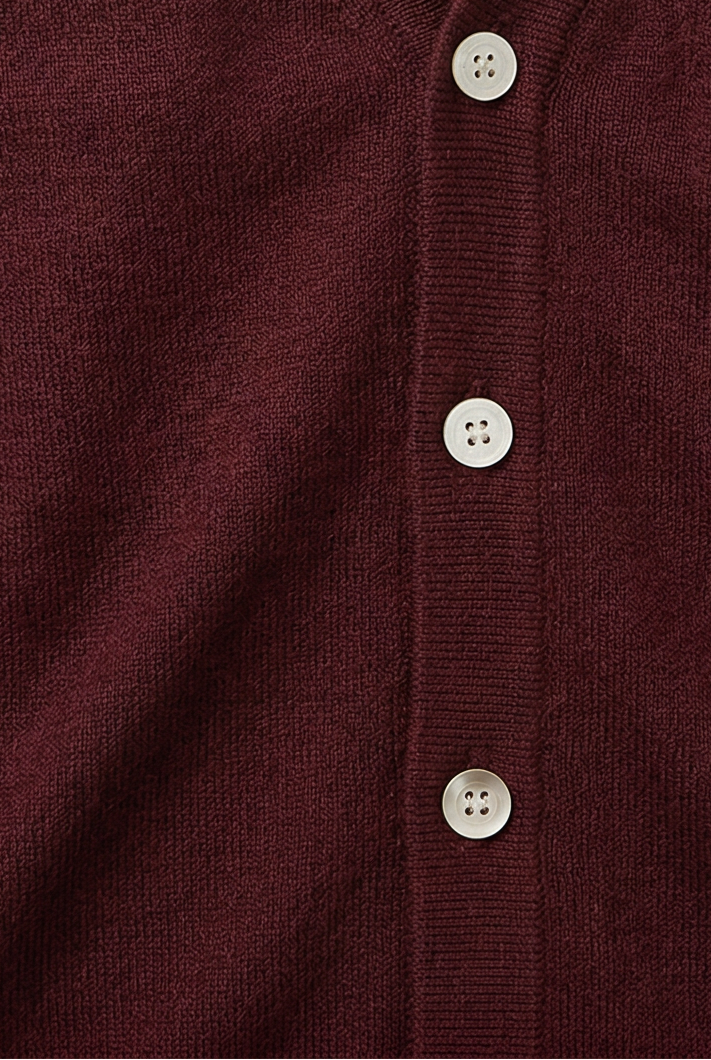 Louis - Gilet Homme Automne Casual Smart avec Col en V et Boutons