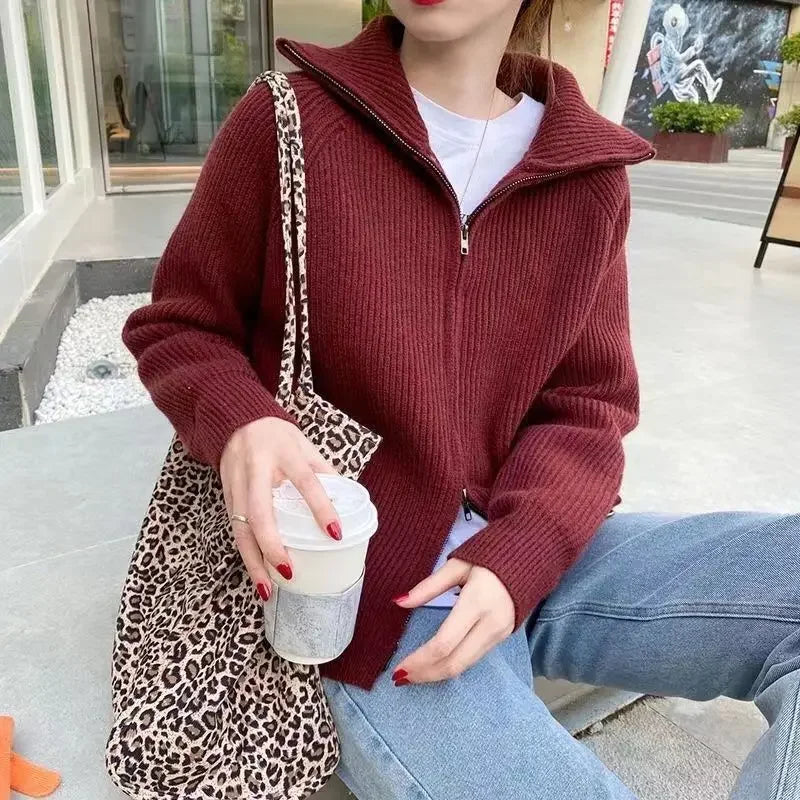 Élise - Cardigan Femme en Laine Style pour l'Automne avec Capuche et Zip